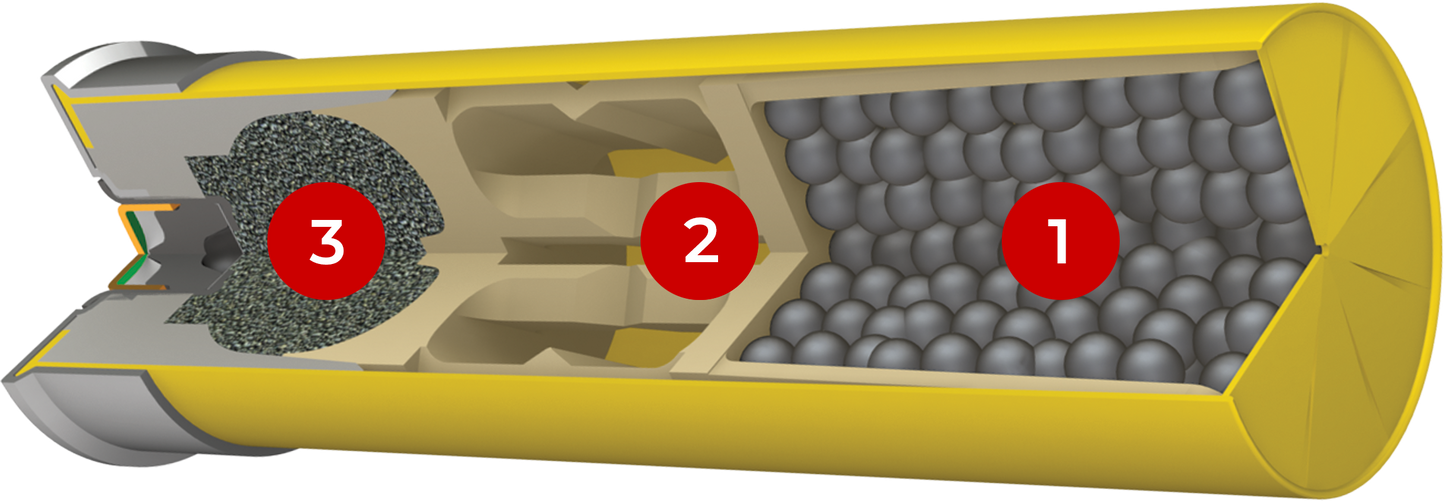 TRGT207