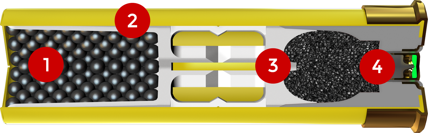 AA209