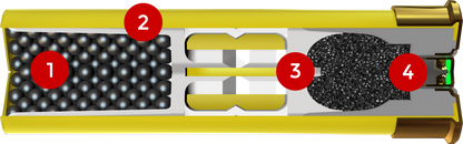 AA209