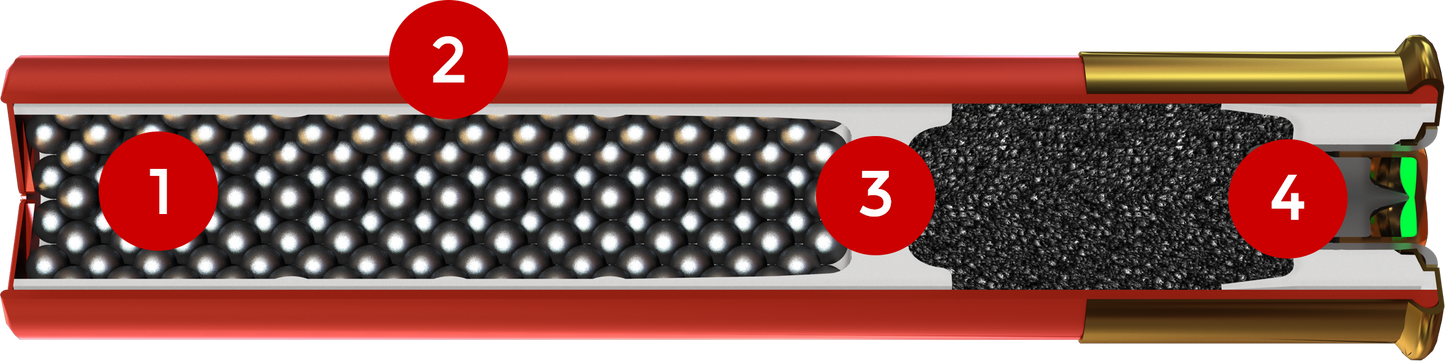 AASC418