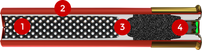 AASC418