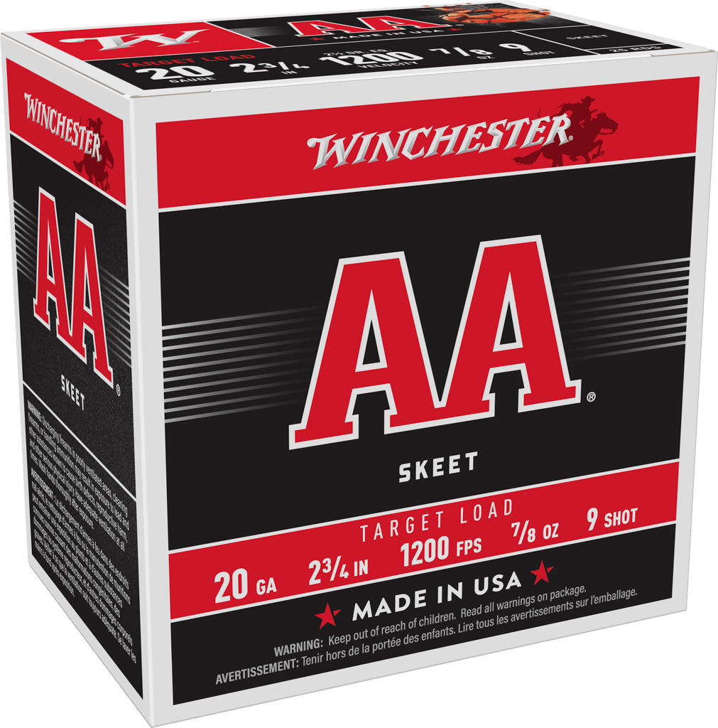 AA209